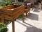 planter your planter box hermanus